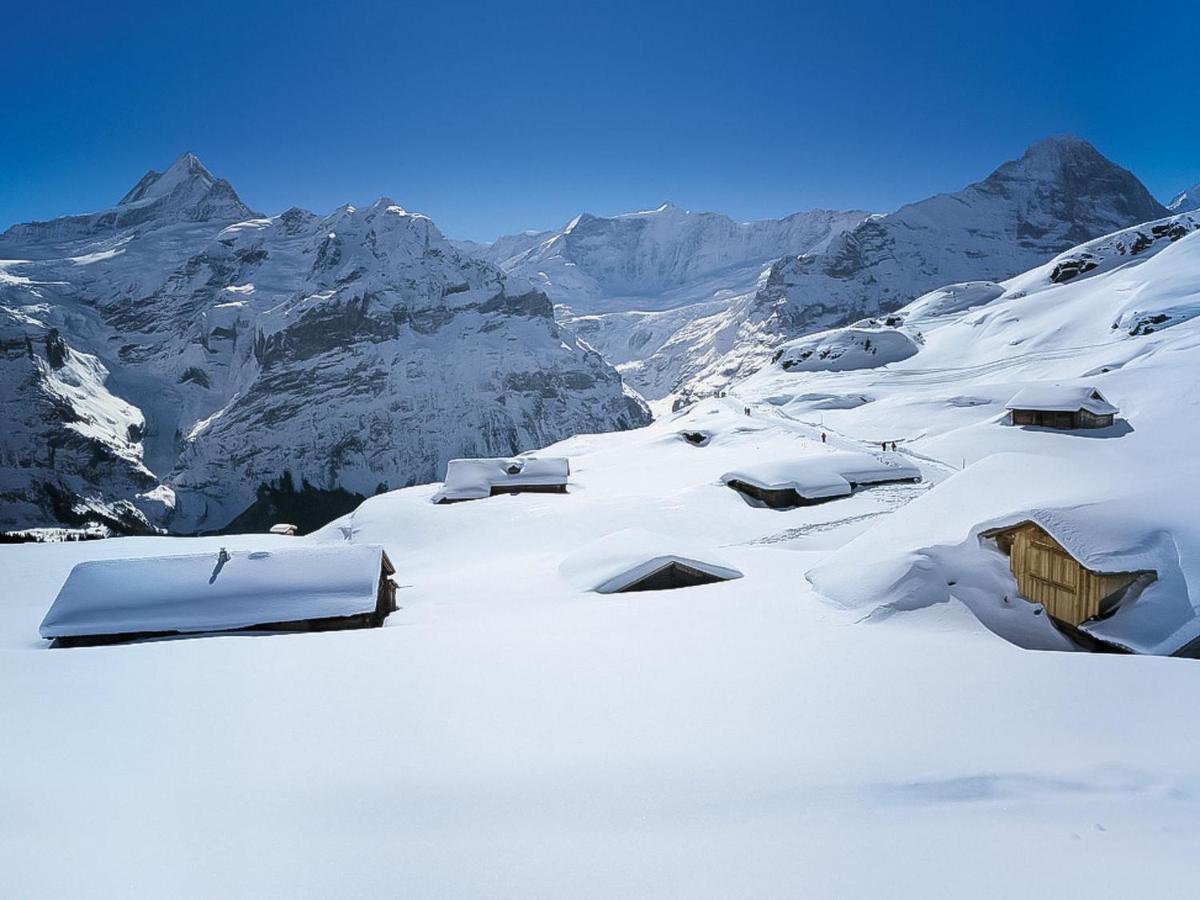 Apartment Chalet La Muntaniala By Interhome Grindelwald Esterno foto