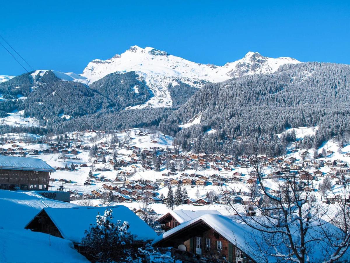 Apartment Chalet La Muntaniala By Interhome Grindelwald Esterno foto
