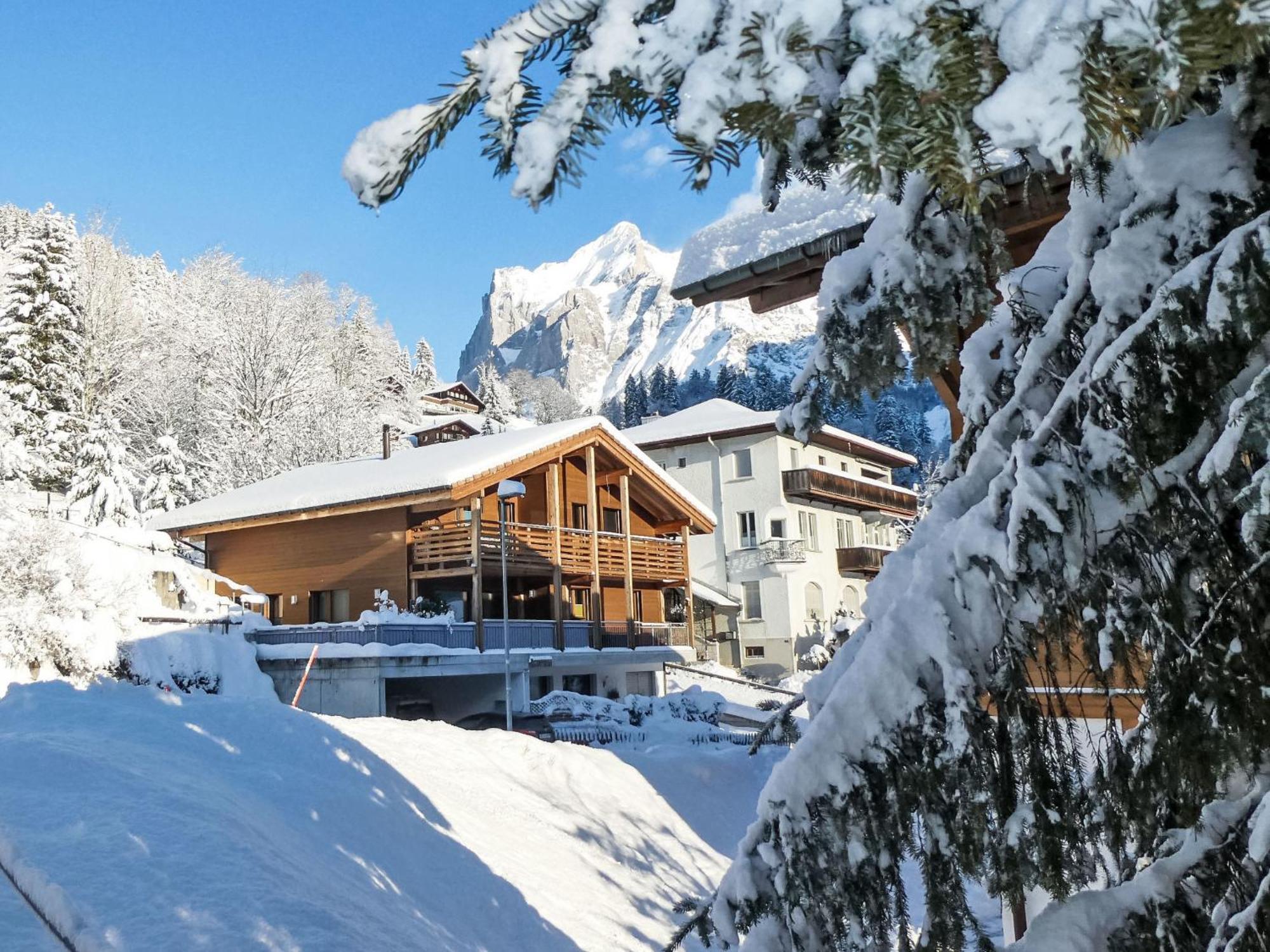 Apartment Chalet La Muntaniala By Interhome Grindelwald Esterno foto